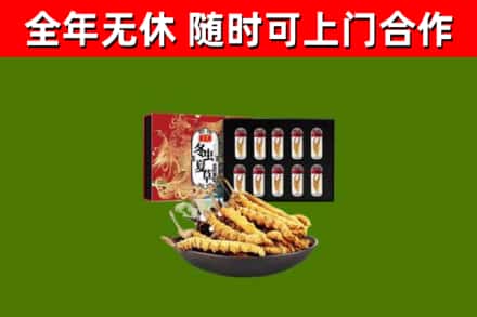 独山县回收冬虫夏草价格